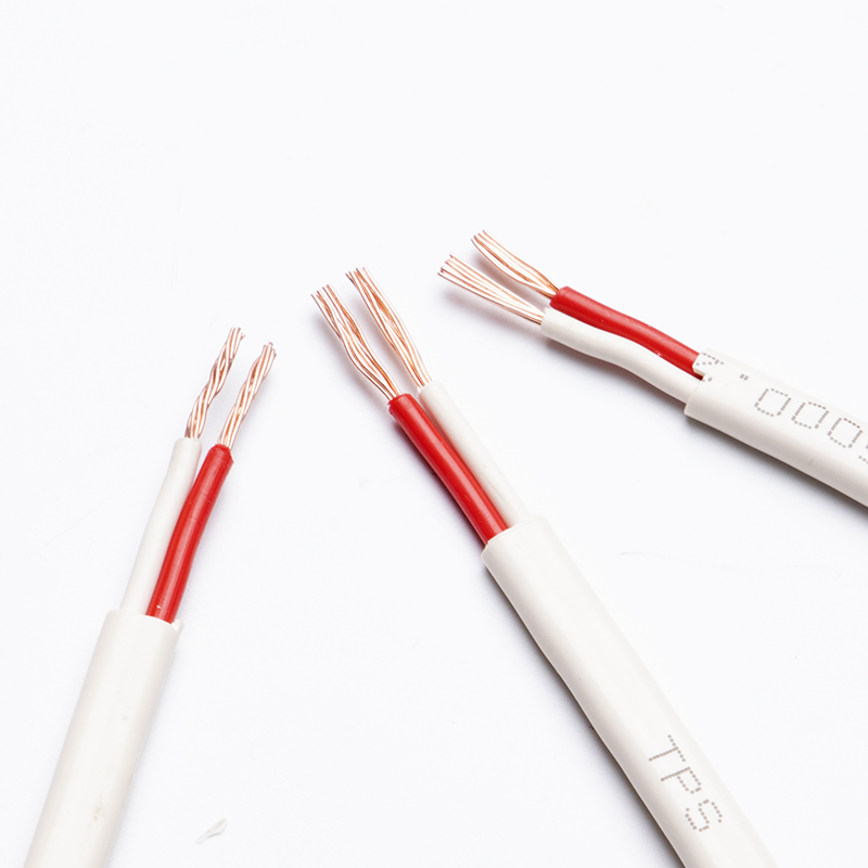 建圳達(dá)saa扁平電線 建圳達(dá)saa扁平電線